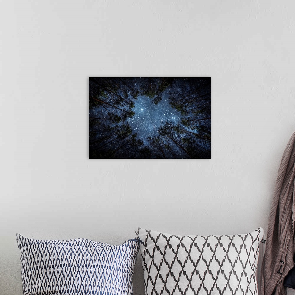 A bohemian room featuring Beautiful night sky, the Milky Way and the trees. Elements of this image furnished by NASA.