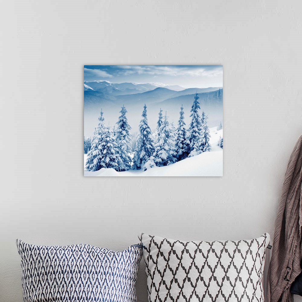 A bohemian room featuring Beautiful winter landscape with snow covered trees