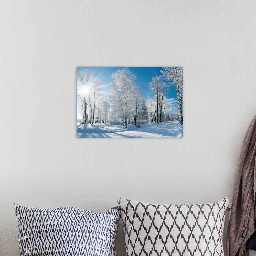 A bohemian room featuring Beautiful winter landscape with snow covered trees
