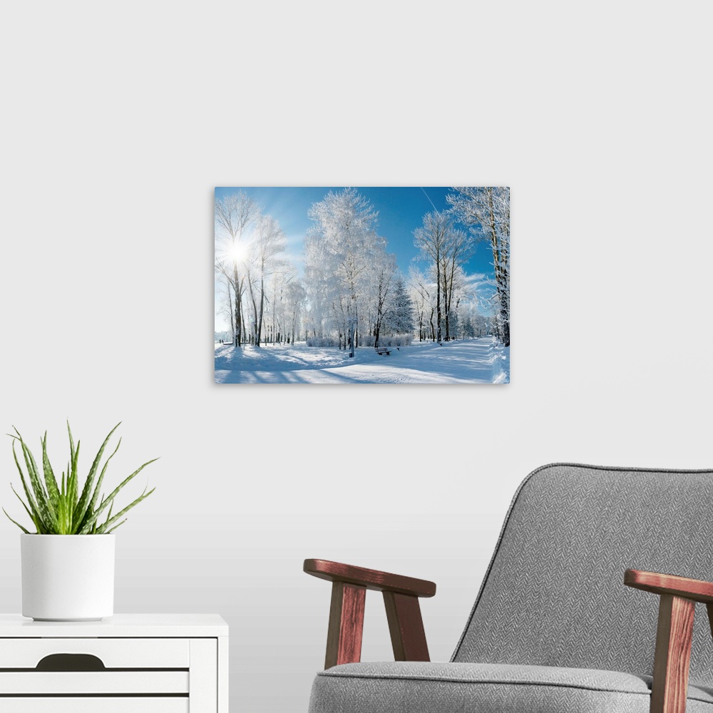 A modern room featuring Beautiful winter landscape with snow covered trees
