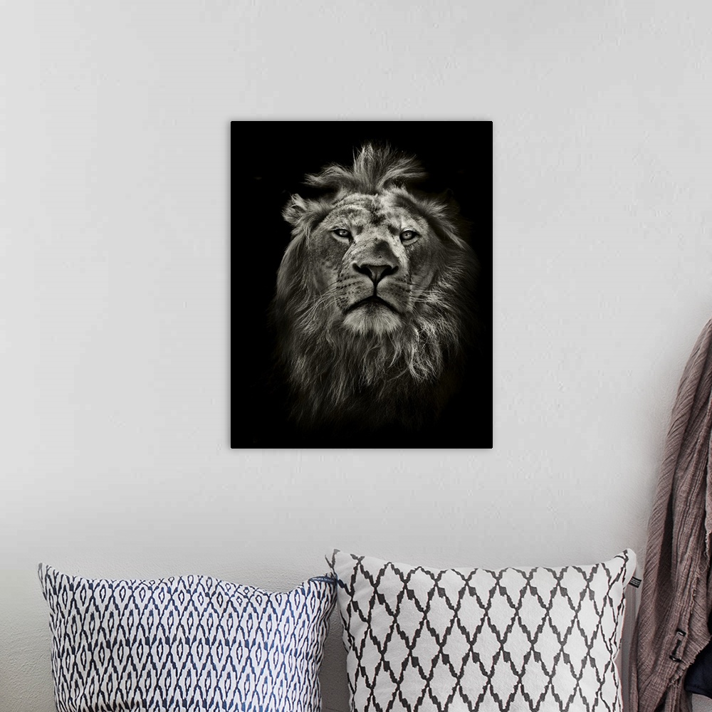 A bohemian room featuring Graphic black and white lion portrait on black.