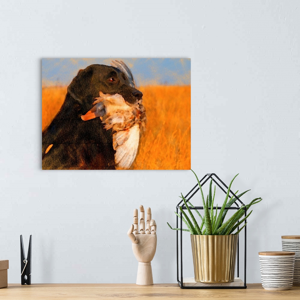 A bohemian room featuring Oil Painting Portrait Of Black Labrador With Duck