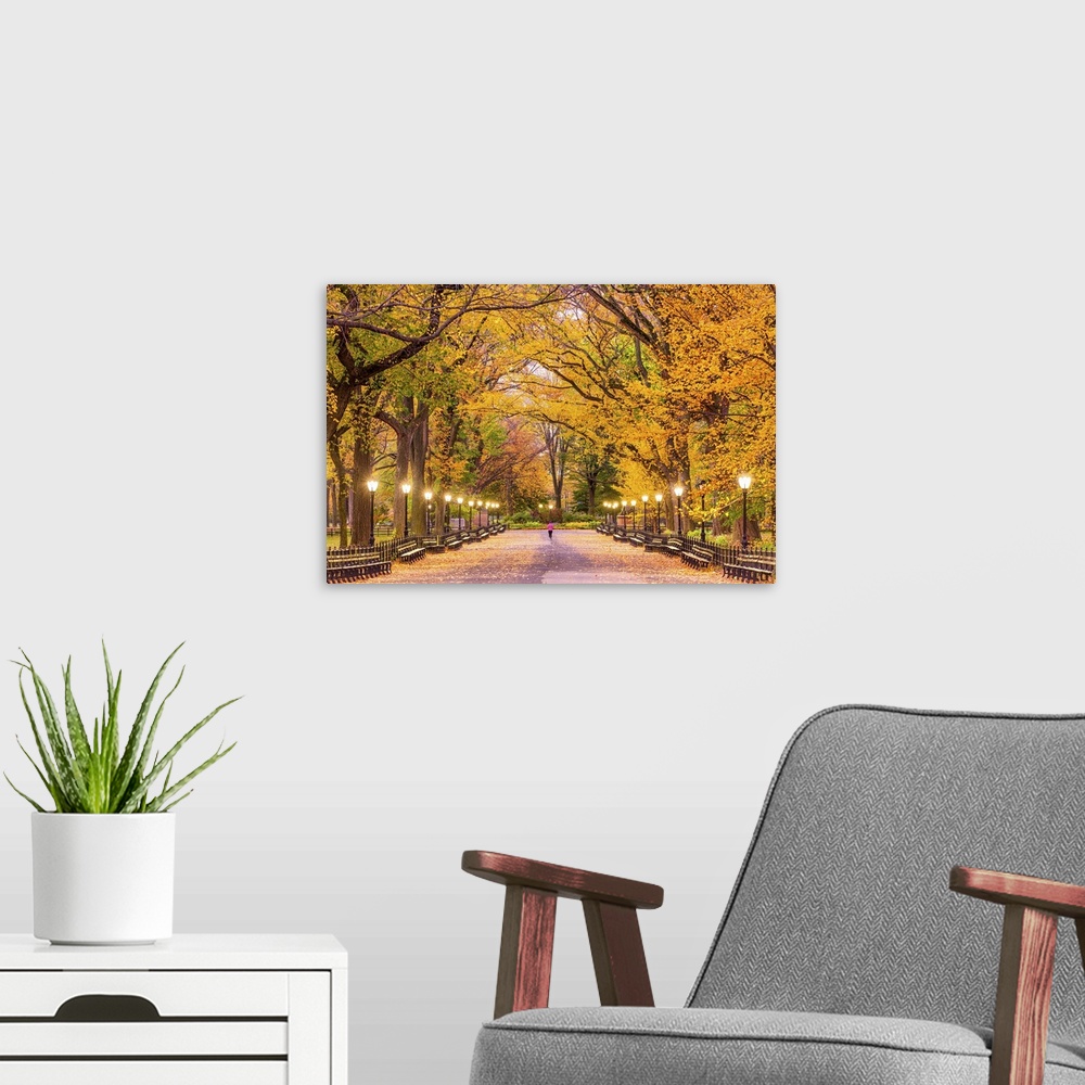 A modern room featuring Central Park In Autumn, New York