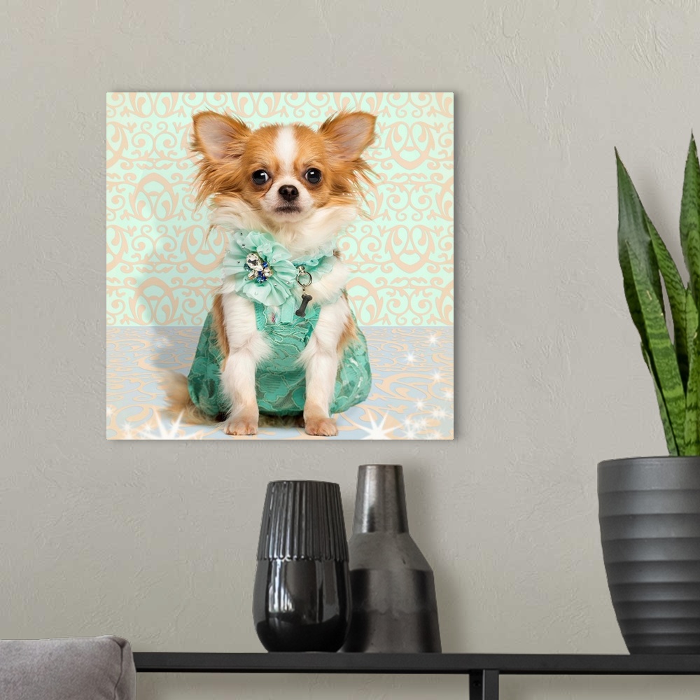 A modern room featuring Chihuahua wearing a green dress, sitting on fancy background