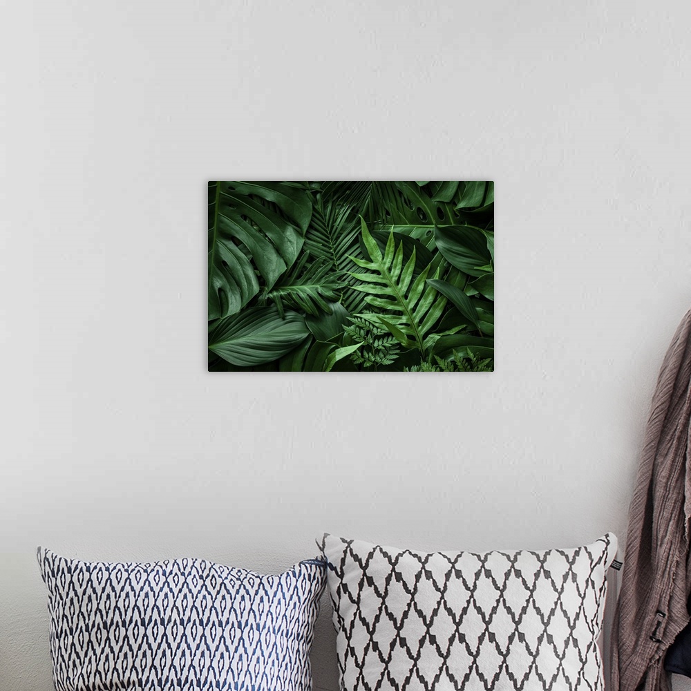 A bohemian room featuring Close-up nature view of green leaf and palms background. Flat lay, dark nature concept, tropical ...