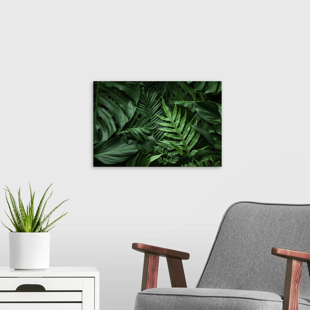 A modern room featuring Close-up nature view of green leaf and palms background. Flat lay, dark nature concept, tropical ...