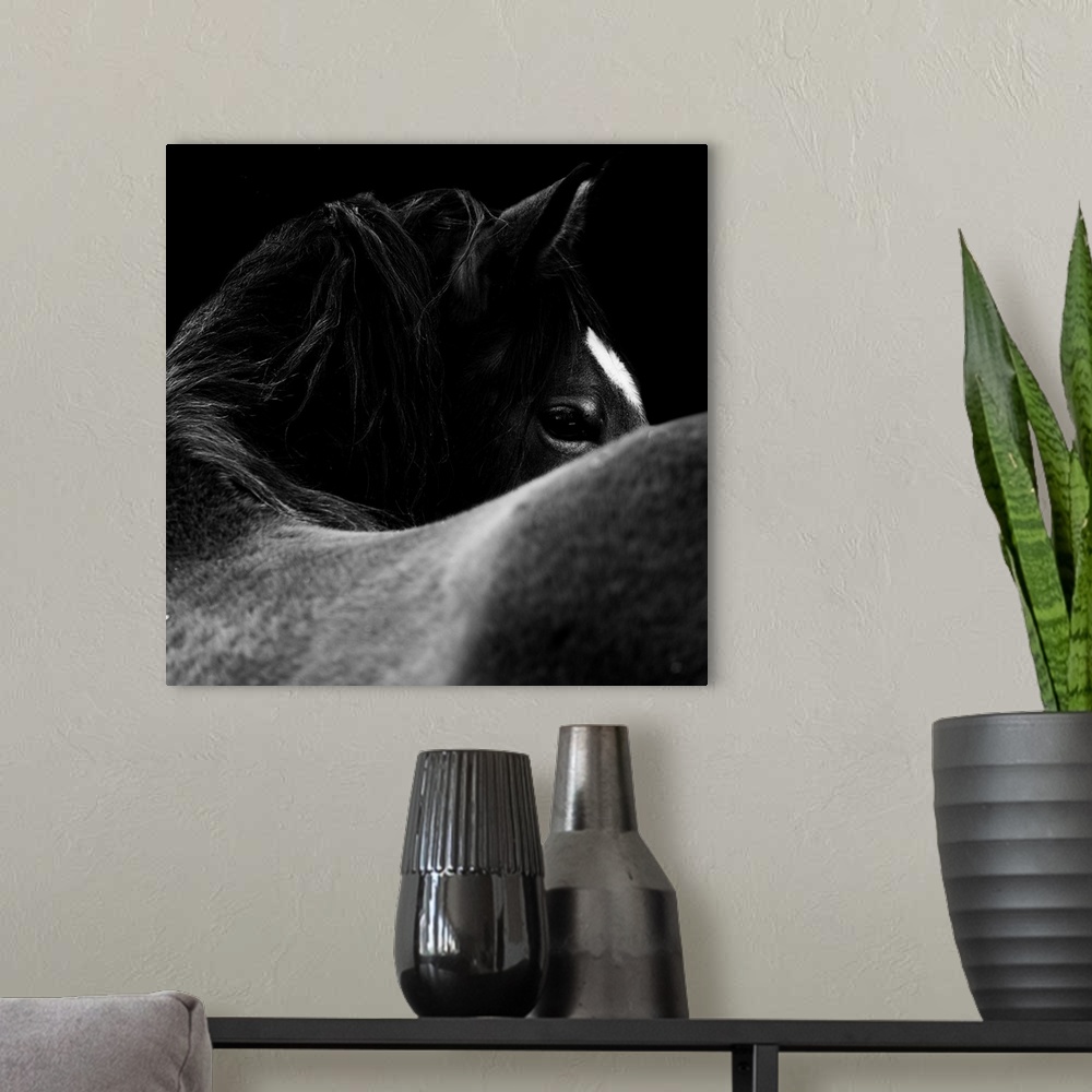 A modern room featuring Close-up of a horse eye in black and white on black background.