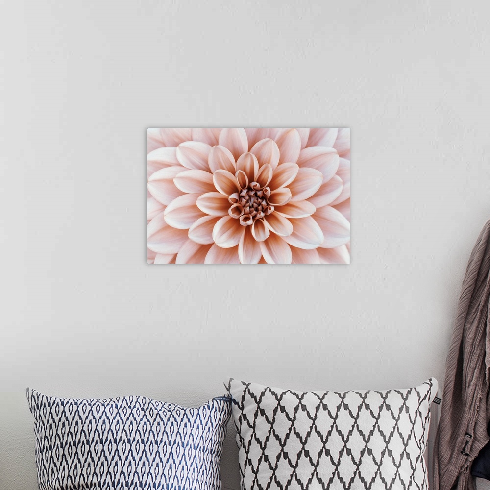 A bohemian room featuring Defocused pastel, peach, coral dahlia petals macro, floral abstract background. Close up of flowe...