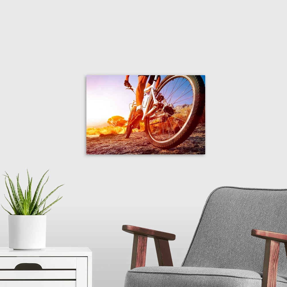 A modern room featuring low angle view of cyclist riding mountain bike on rocky trail at sunrise