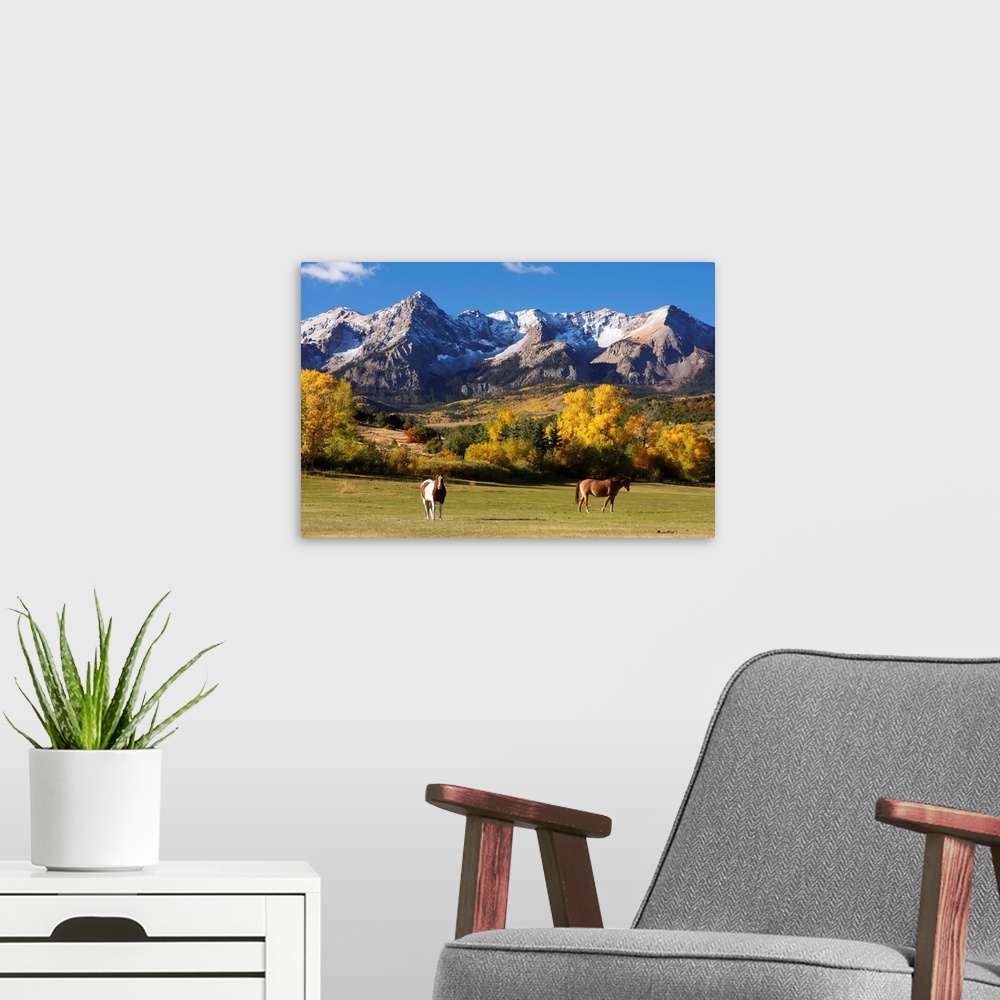 A modern room featuring Dallas Divide, Uncompahgre National Forest, Colorado, USA.