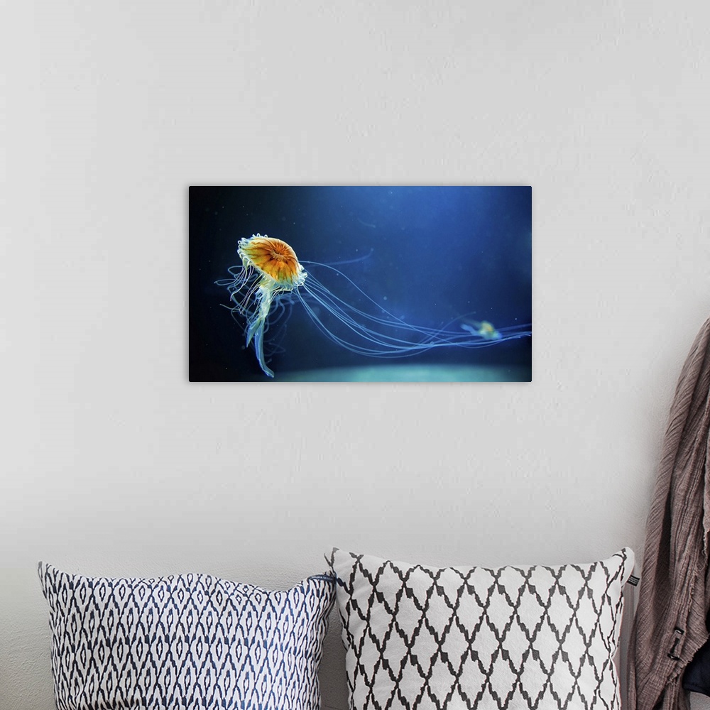 A bohemian room featuring Dancing Jellyfish In The Depths Of The Sea