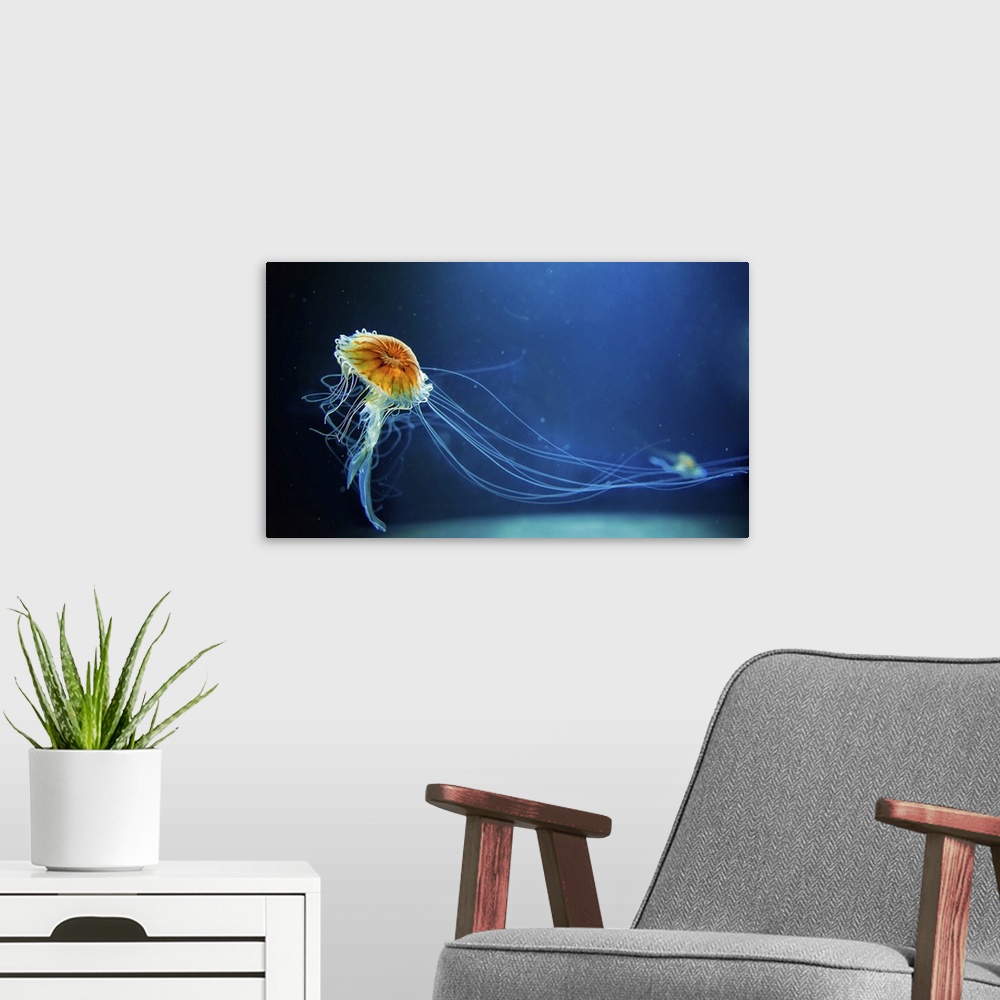 A modern room featuring Dancing Jellyfish In The Depths Of The Sea