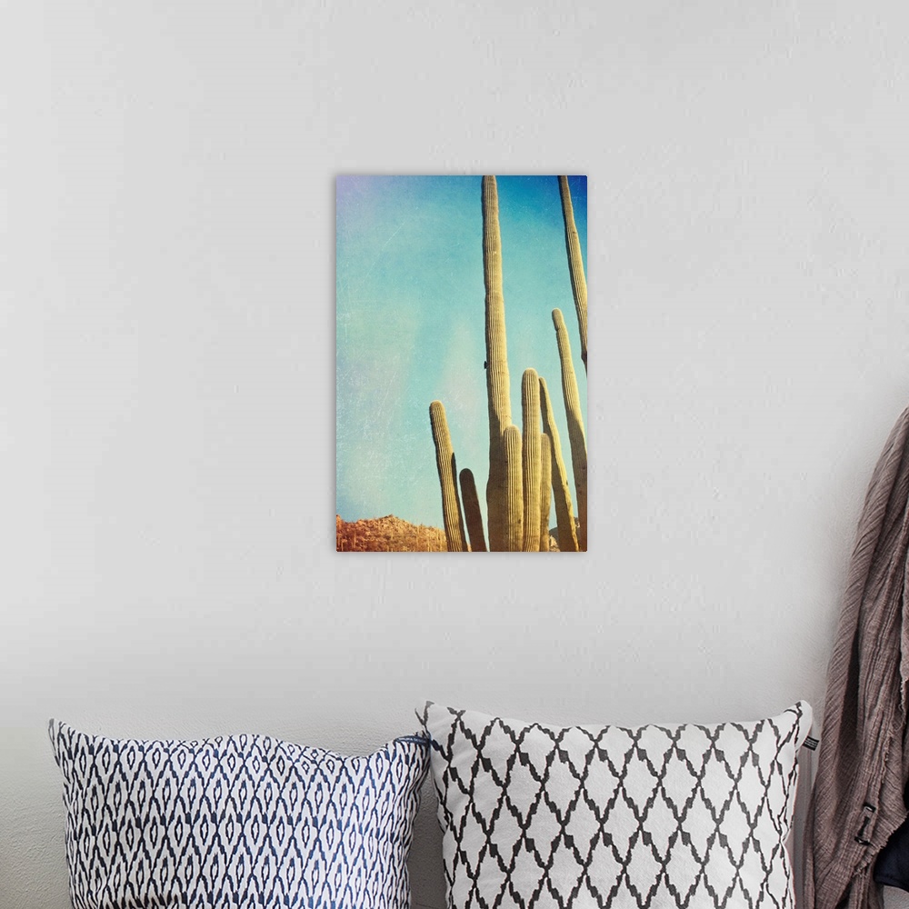 A bohemian room featuring Desert cactus with an artistic texture overlay