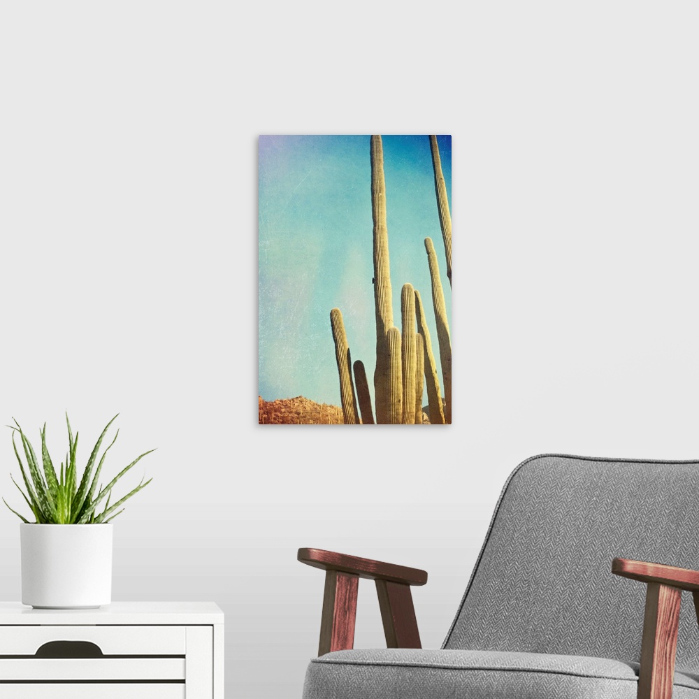 A modern room featuring Desert cactus with an artistic texture overlay