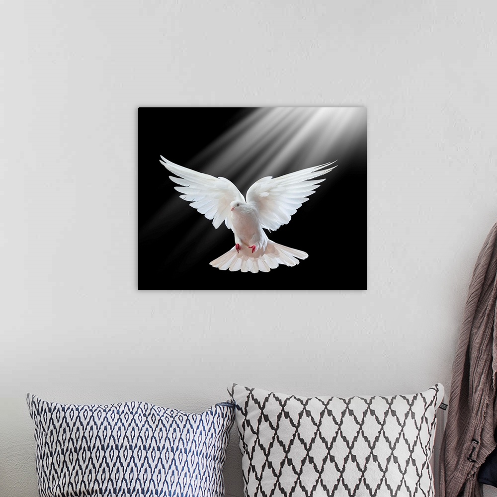 A bohemian room featuring A free flying white dove isolated on a black background