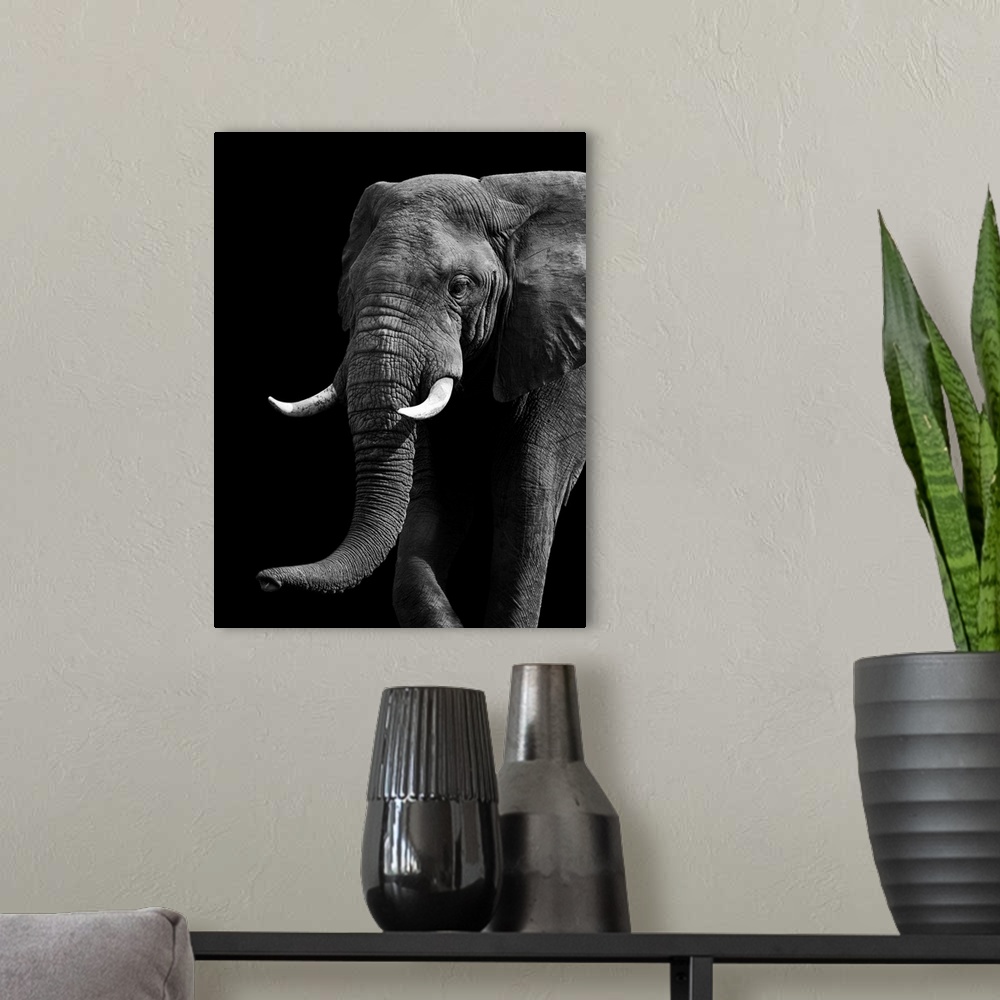 A modern room featuring Artistic Black And White Elephant