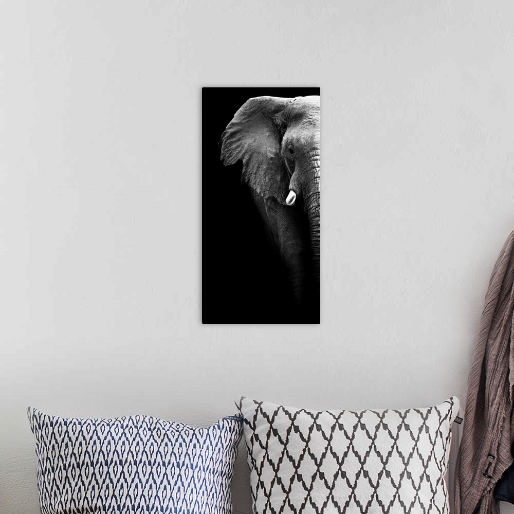 A bohemian room featuring Artistic Black And White Elephant