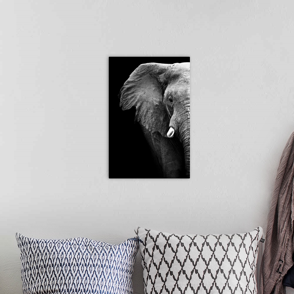 A bohemian room featuring Artistic Black And White Elephant