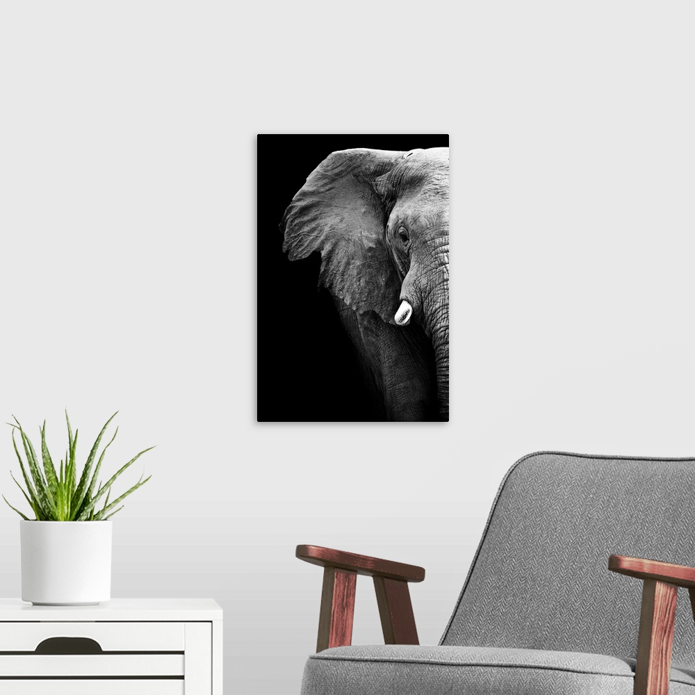 A modern room featuring Artistic Black And White Elephant