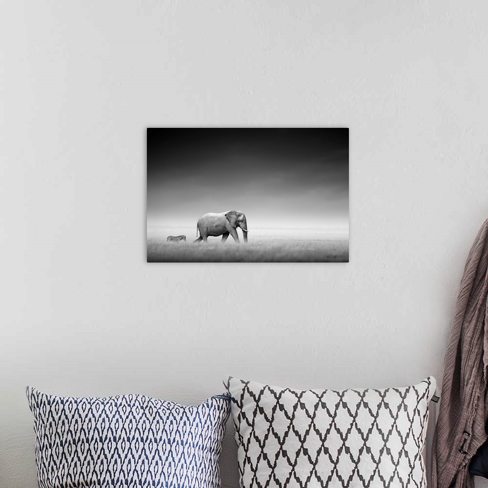 A bohemian room featuring Elephant with zebra on open plains of Etosha.