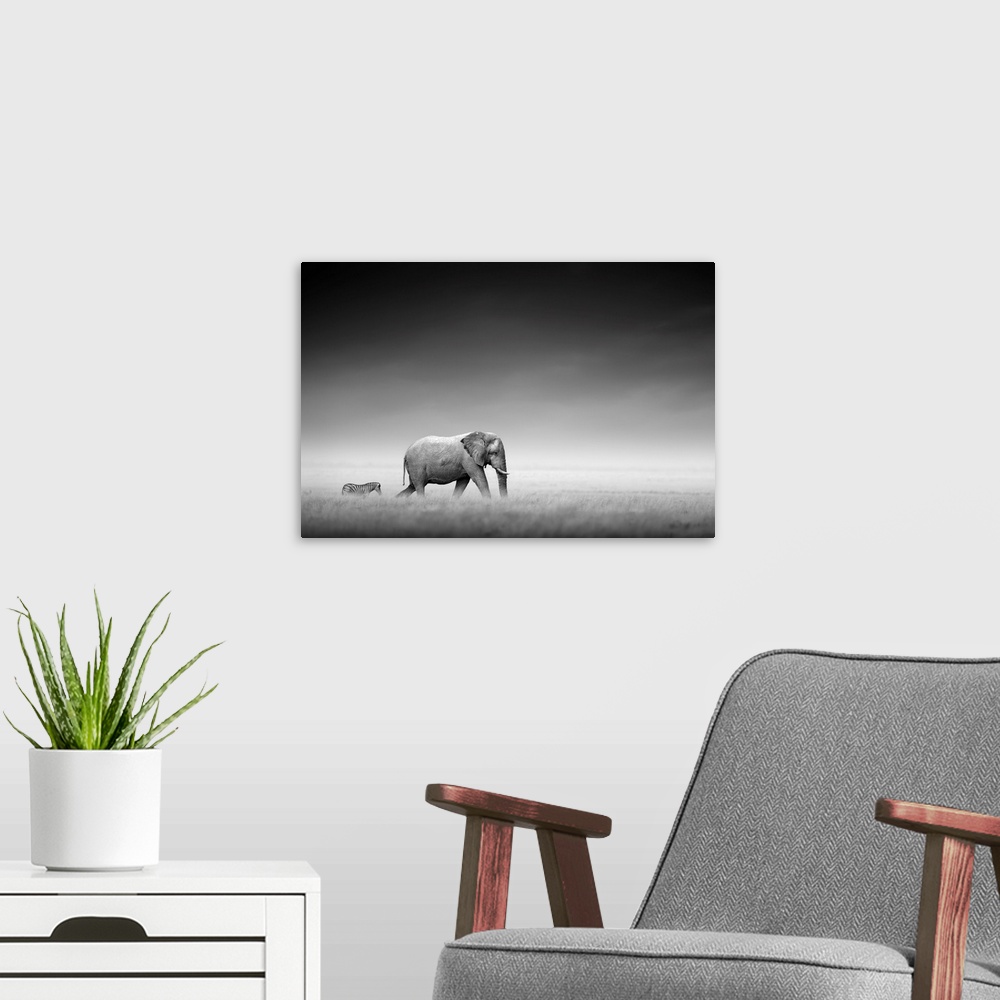 A modern room featuring Elephant with zebra on open plains of Etosha.