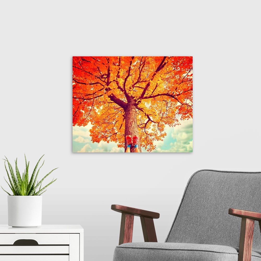 A modern room featuring feet resting on a tree trunk during fall when the leaves are turning colors toned with a retro vinta