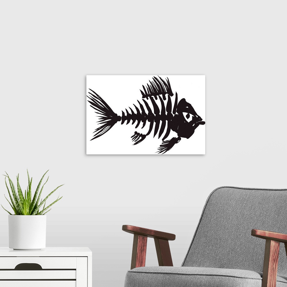 A modern room featuring fish skeleton