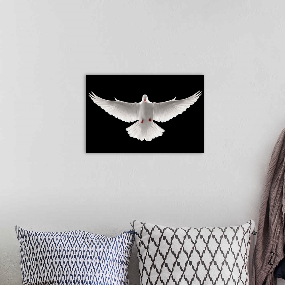 A bohemian room featuring Flying Dove