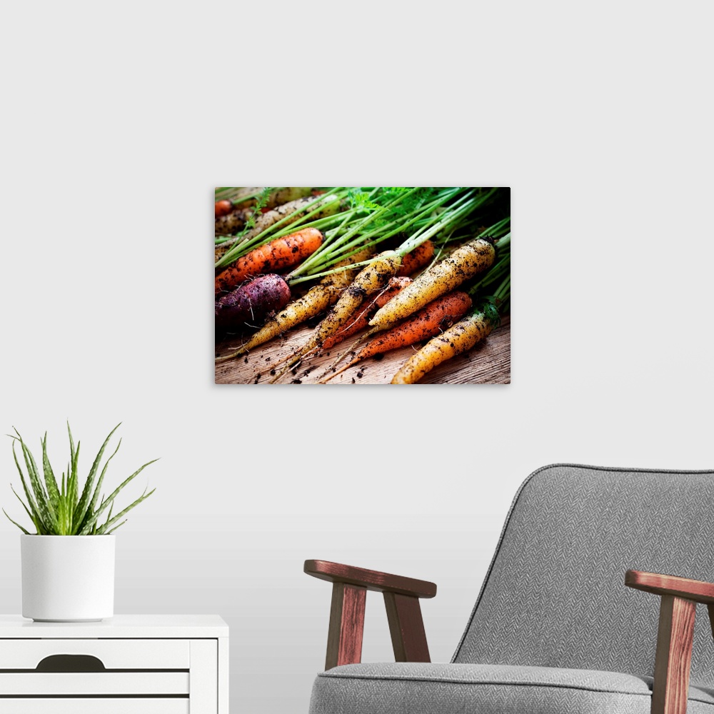 A modern room featuring Fresh carrots picked from the garden.