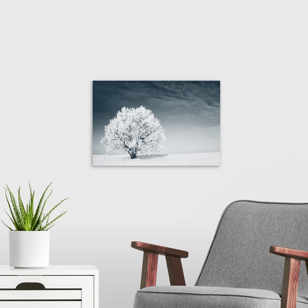 A modern room featuring Frozen tree on a winter field with a blue sky.