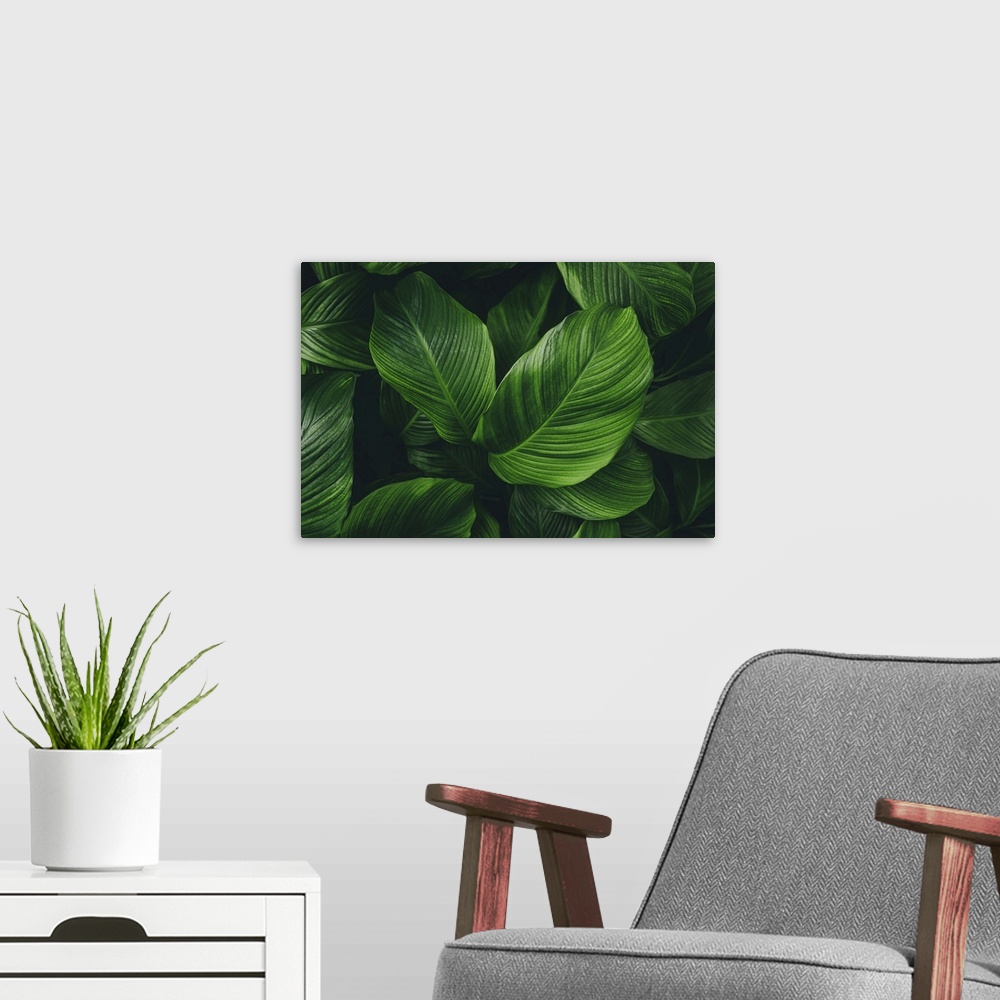 A modern room featuring Green leaves background. Green leaves color tone dark in the morning.