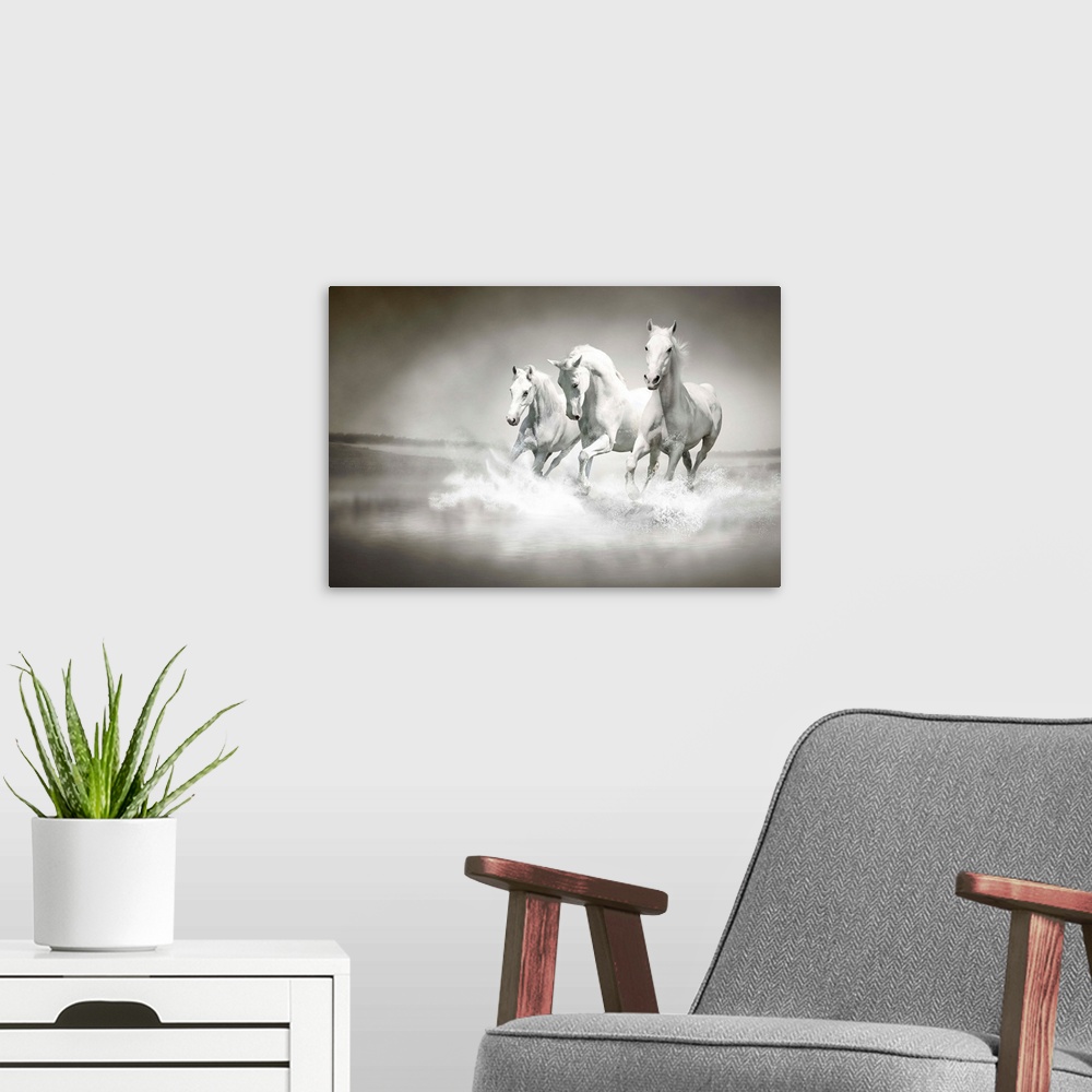 A modern room featuring Herd of white horses running through water