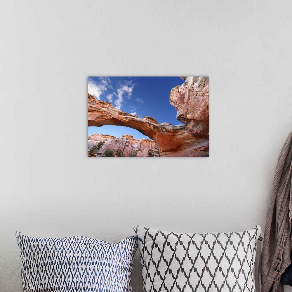 A bohemian room featuring Hickman Natural Bridge Spans A Canyon At Capitol Reef National Park Of Utah