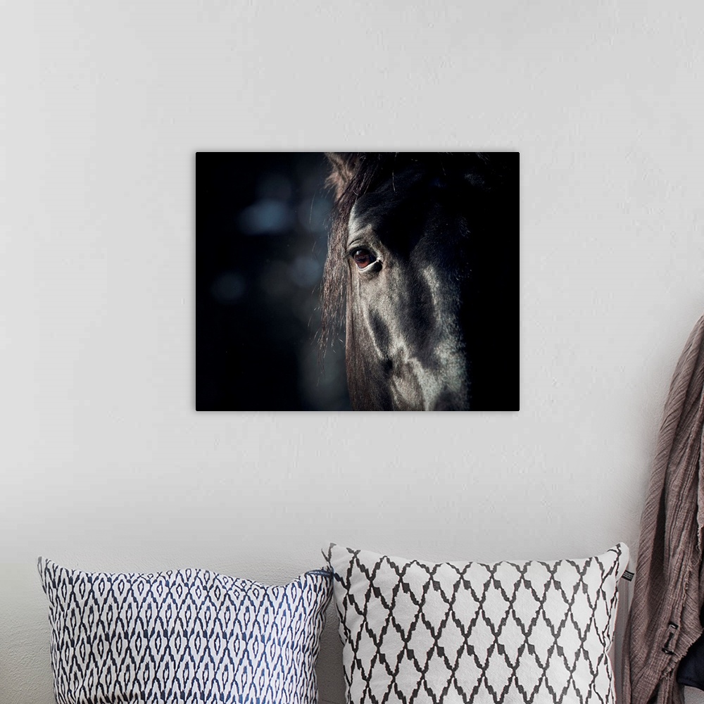 A bohemian room featuring Horse Eye In Dark