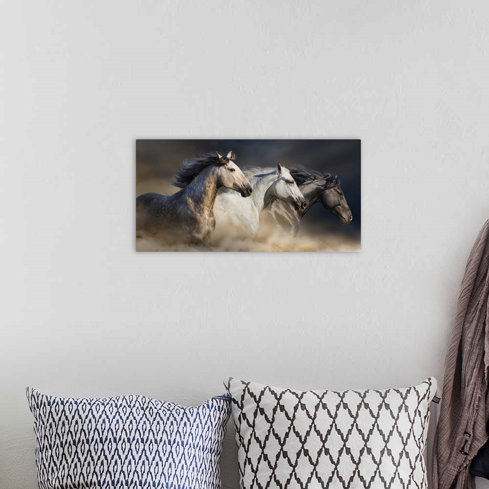 A bohemian room featuring Portrait of horses with long manes galloping in desert dust.