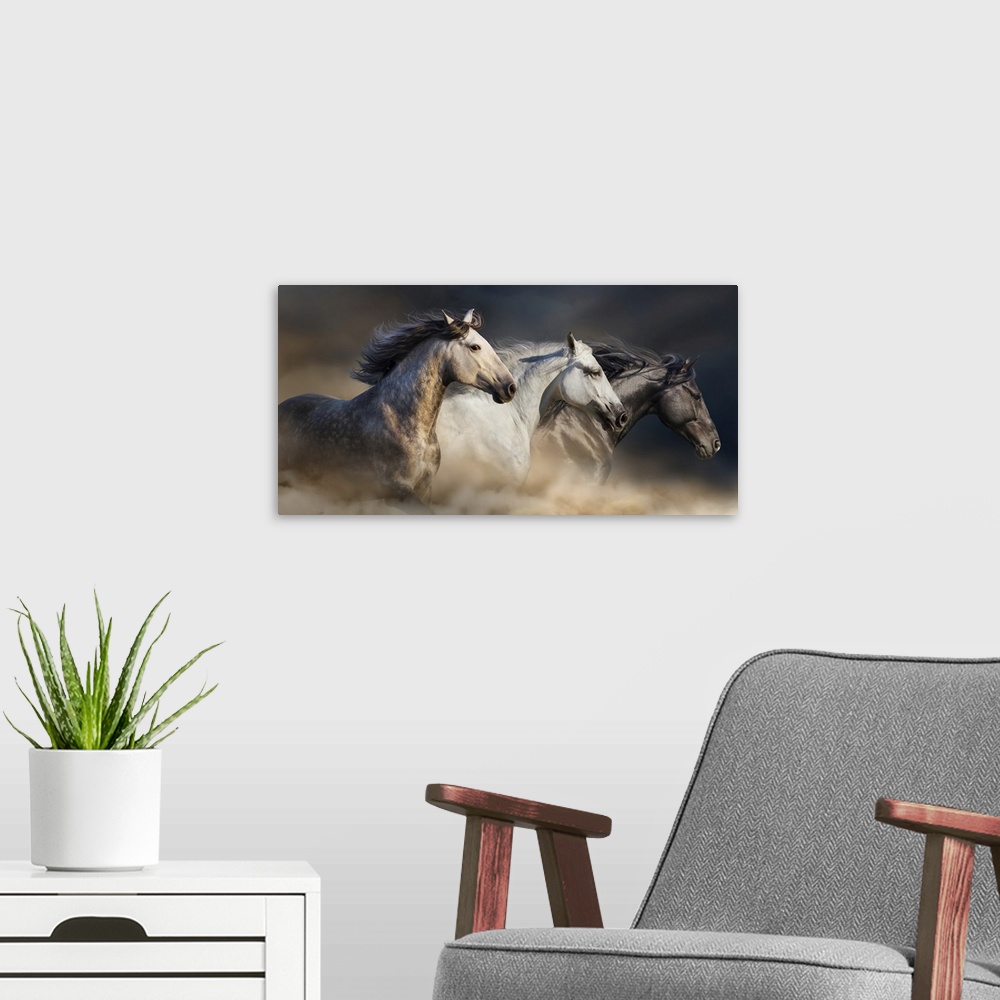 A modern room featuring Portrait of horses with long manes galloping in desert dust.
