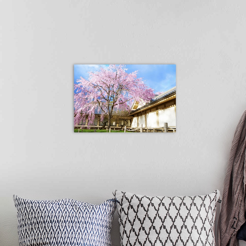 A bohemian room featuring Japanese Cherry Blossom With A Traditional House