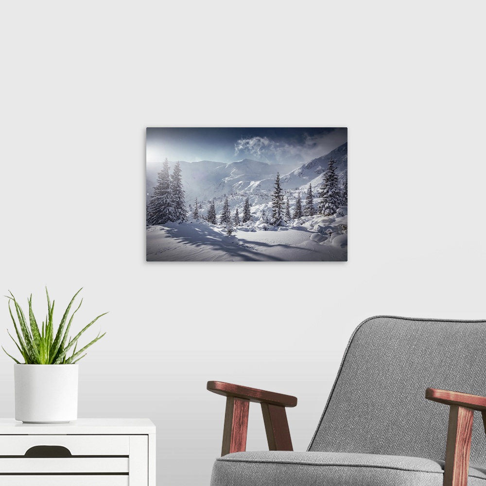 A modern room featuring Incredible winter landscape with snowcapped pine trees under bright sunny light in frosty morning...