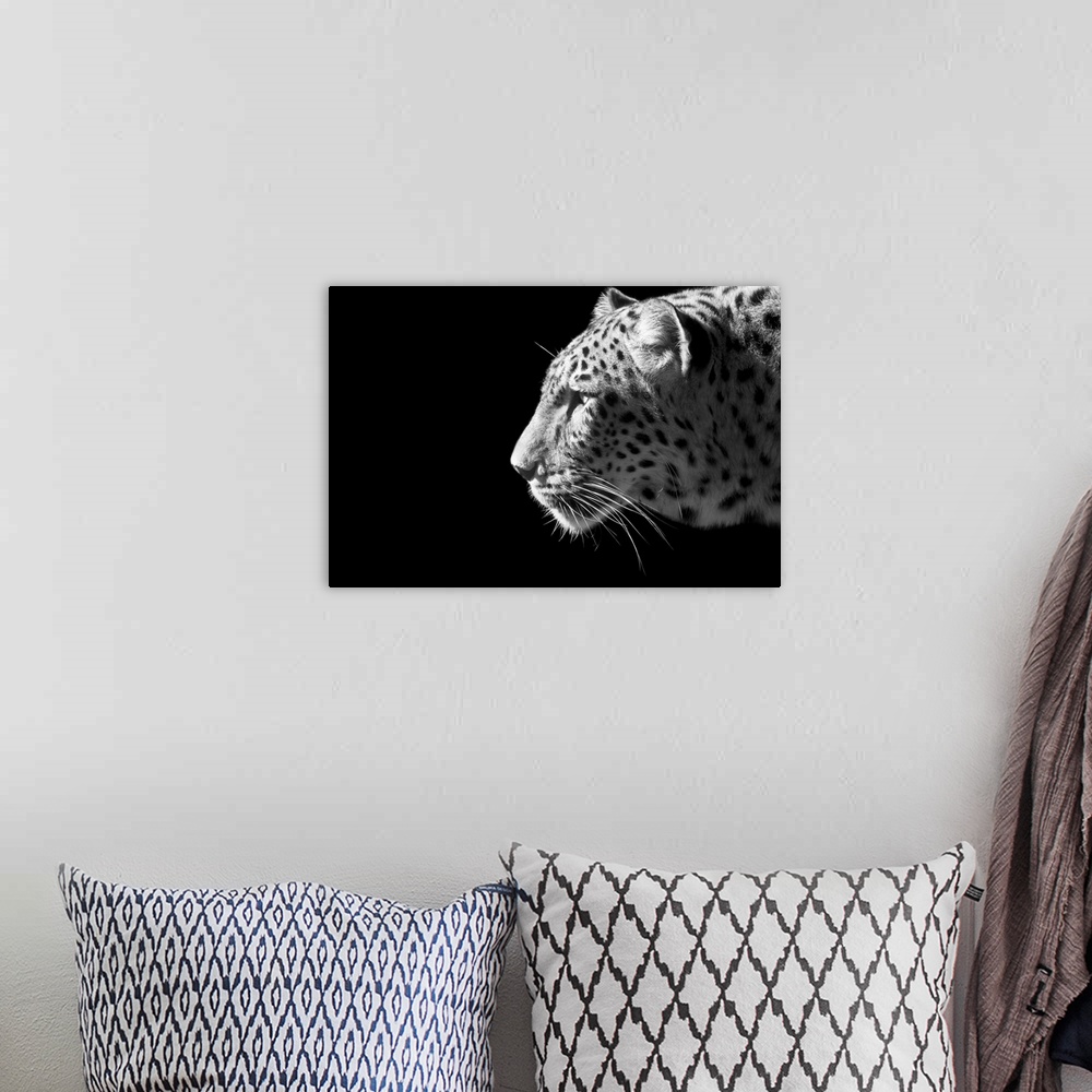 A bohemian room featuring Leopard Portrait