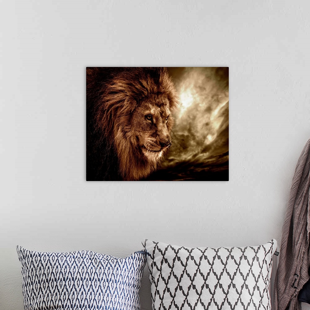 A bohemian room featuring Lion against stormy sky
