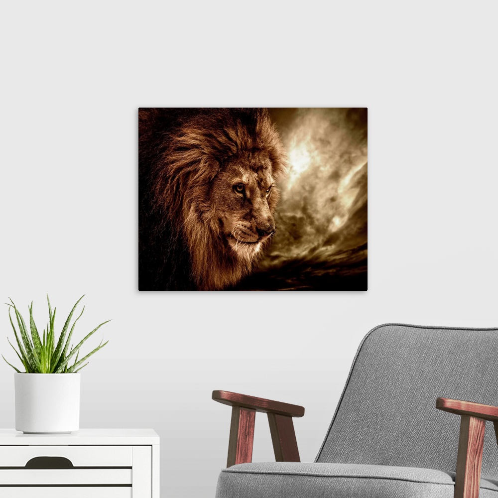A modern room featuring Lion against stormy sky
