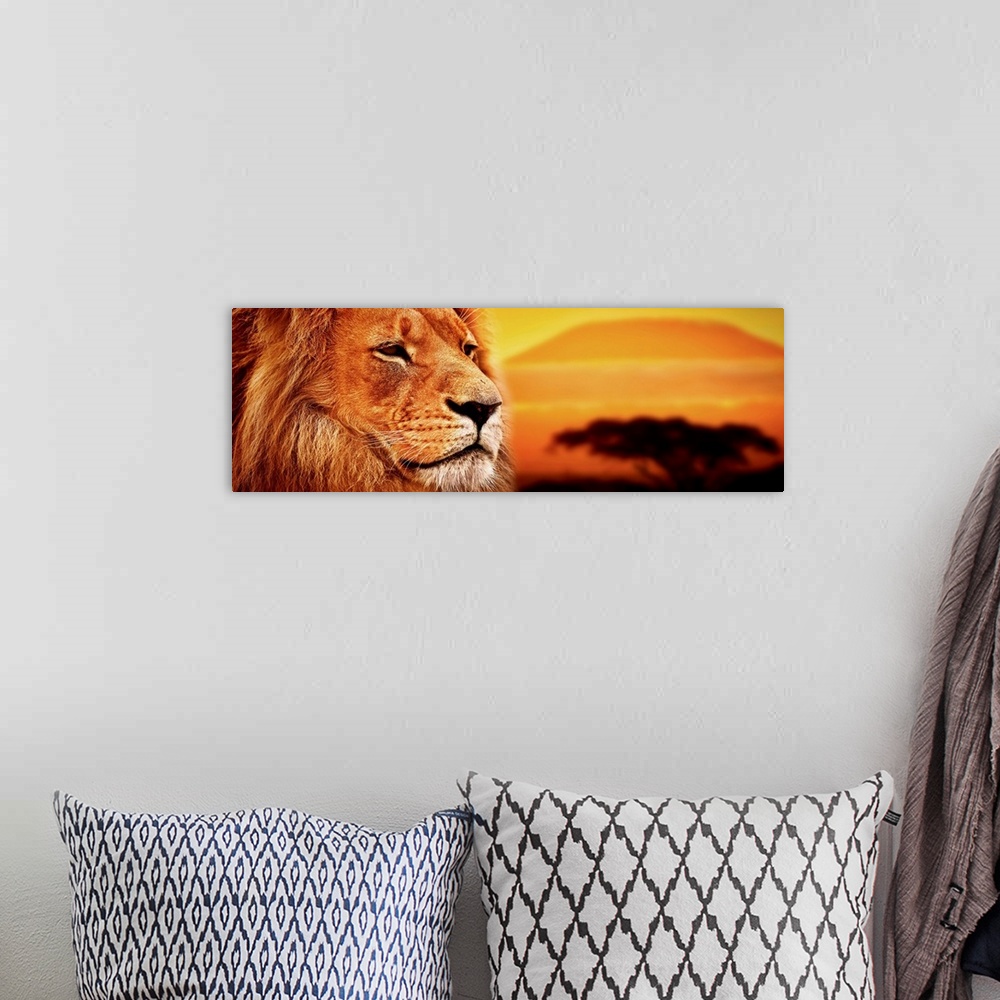 A bohemian room featuring Lion portrait on savanna landscape background and Mount Kilimanjaro at sunset.