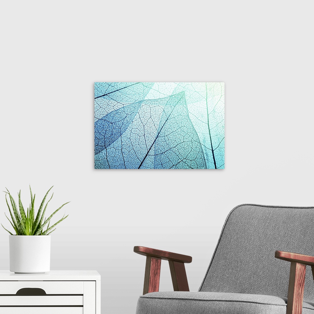 A modern room featuring Macro Leaves Background Texture