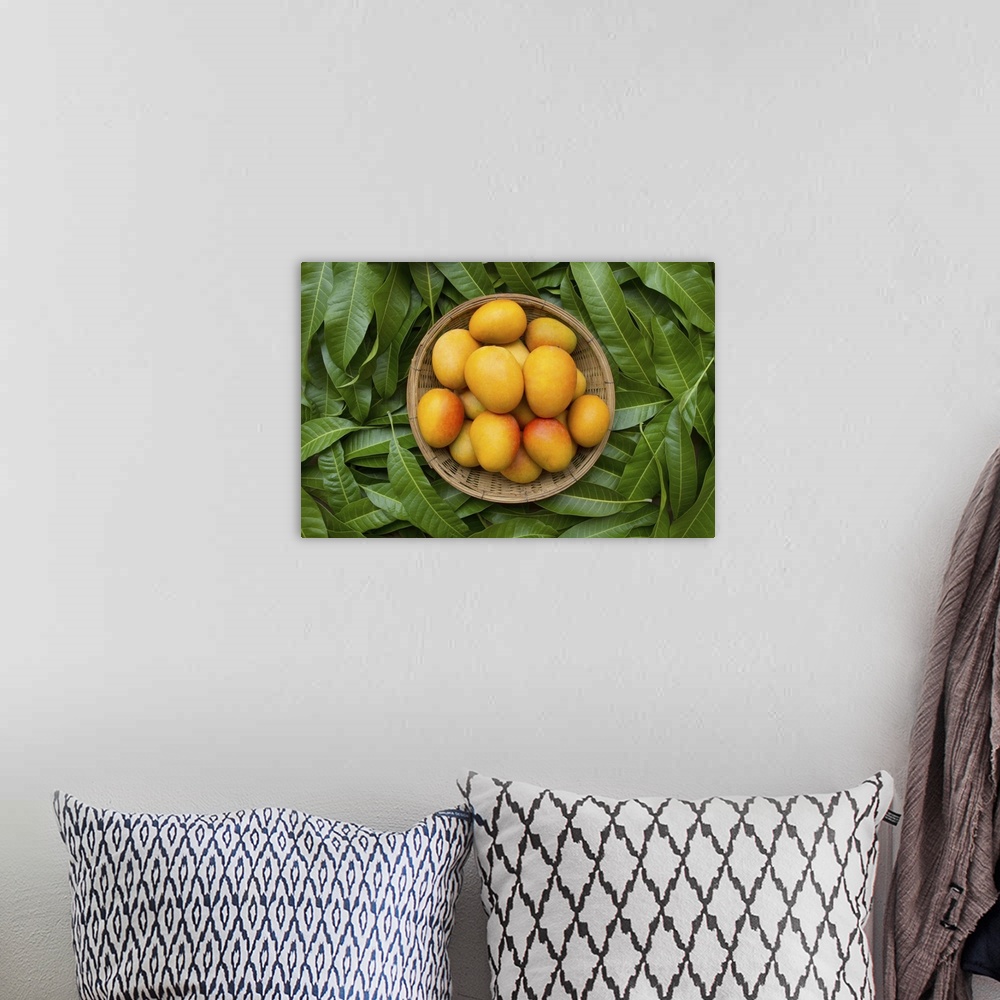 A bohemian room featuring Mango tropical fruit in wooden basket put on green leaf background, top view.