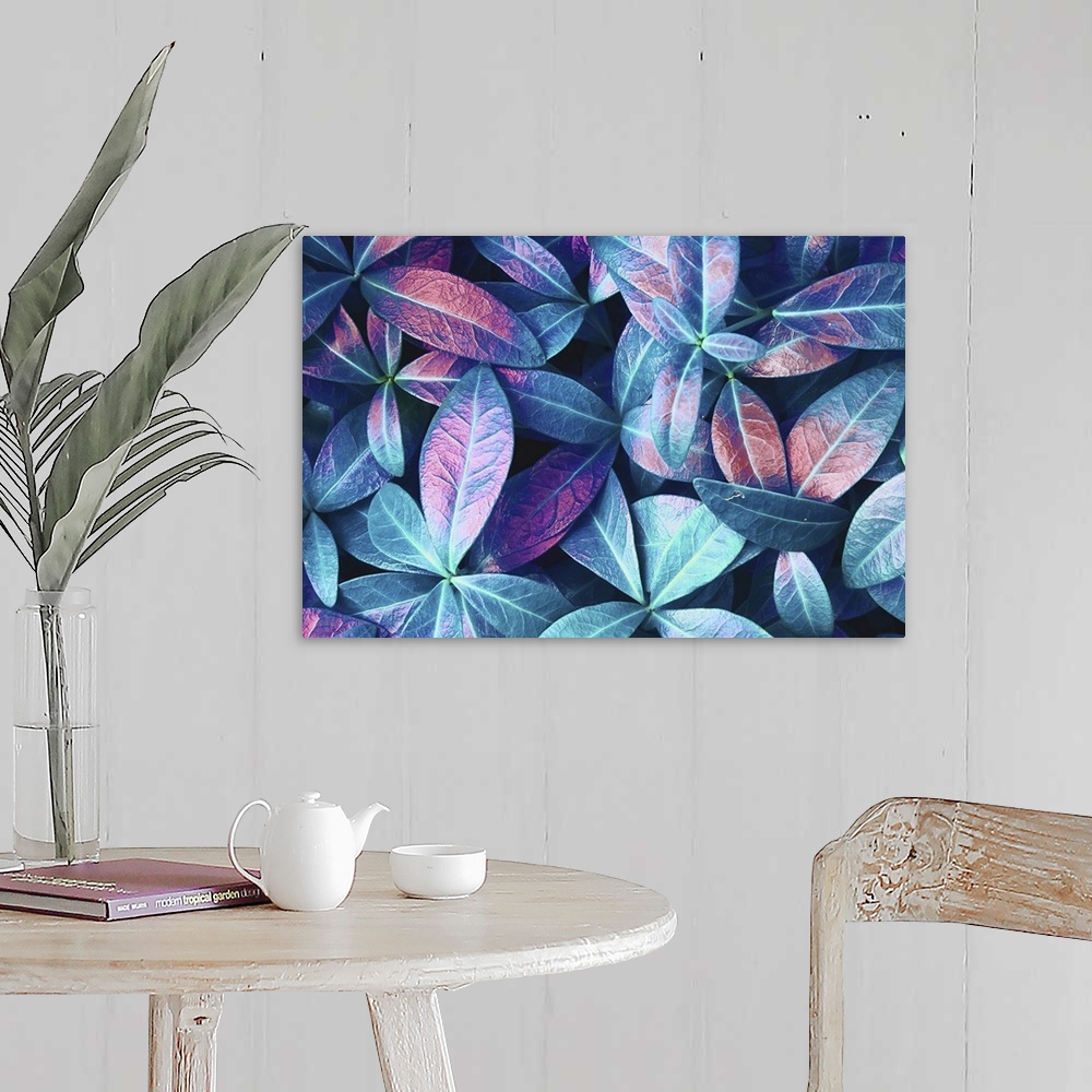 A farmhouse room featuring Natural Macro Texture Of Beautiful Leaves Toned In Blue, Purple, And Pink