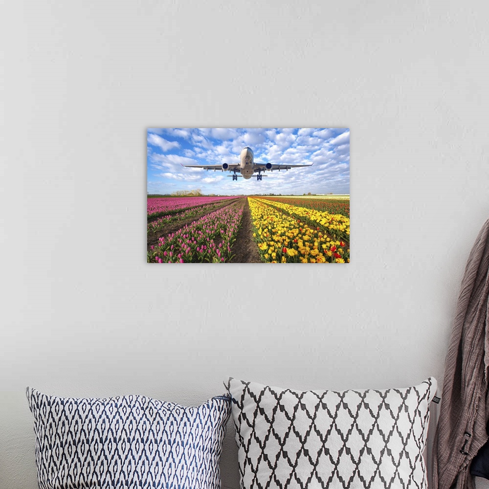 A bohemian room featuring Passenger Airplane Flying Over Tulip Field At Sunset, Netherlands