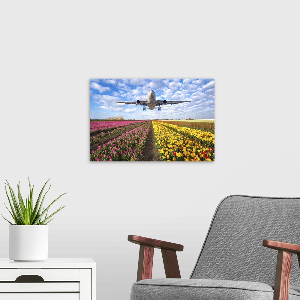 A modern room featuring Passenger Airplane Flying Over Tulip Field At Sunset, Netherlands