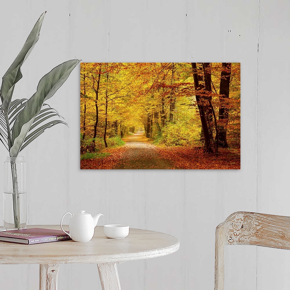 A farmhouse room featuring Pathway in the autumn forest