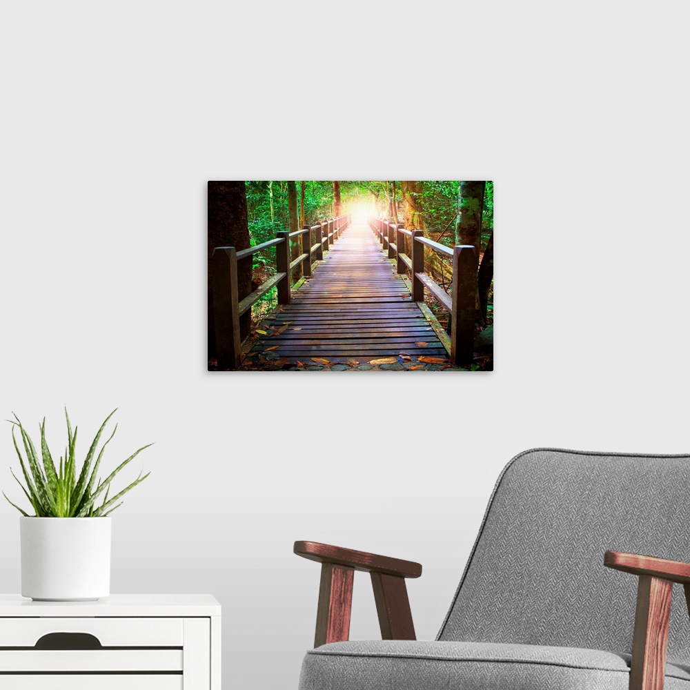 A modern room featuring Perspective of wood bridge in deep forest crossing stream and glowing light.