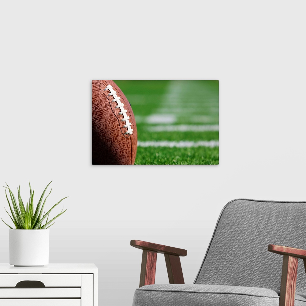 A modern room featuring Pro American Football on Field.